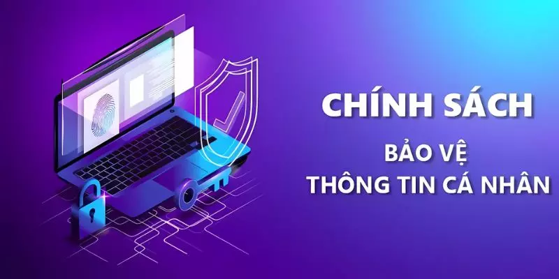 Quy định giữ an toàn dữ liệu người xem