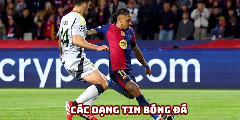 Các dạng tin bóng đá được yêu thích nhất
