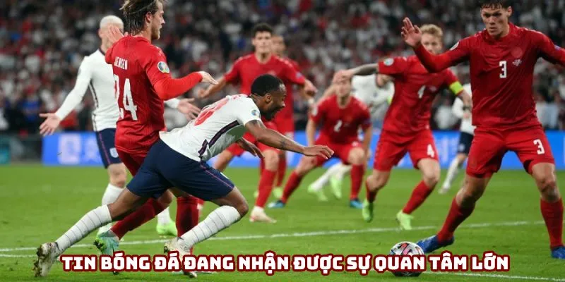 Tin bóng đá đang nhận được sự quan tâm lớn