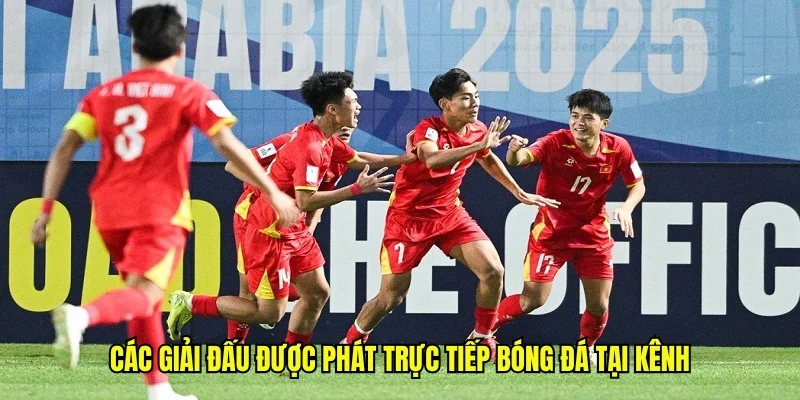 Các giải đấu được phát trực tiếp bóng đá tại kênh